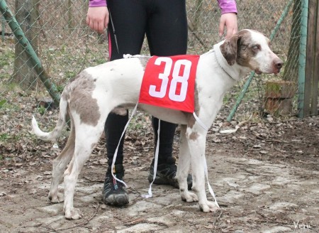 Radíkovský sprint , aneb rozloučení se sezónou 